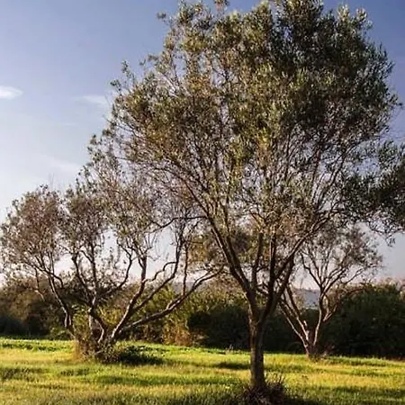 Serra Maiori *