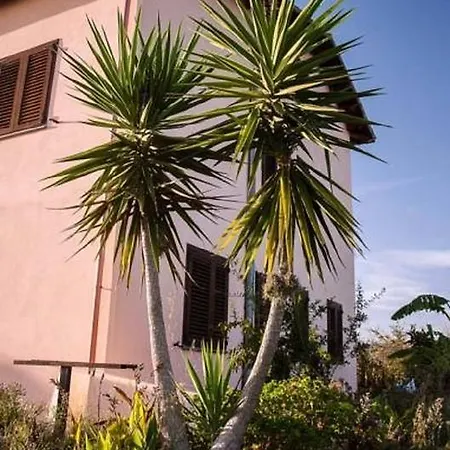 Farm stay Serra Maiori *
