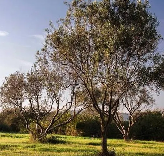 Serra Maiori *